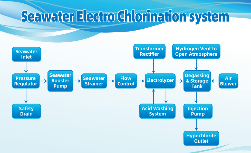 Safe and Sustainable Aquaculture Hygiene: The Role of Seawater Electrolysis