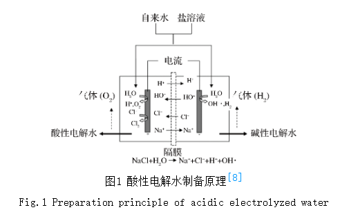 Research progress on the occurrence mechanism of acidic electrolyzedwater (AEW) and its application in aquaculture